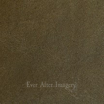 Standard Leather Spruce