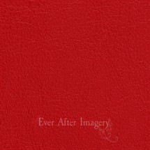 Standard Leather Inferno