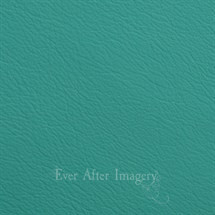 Standard Leather Spring Tide